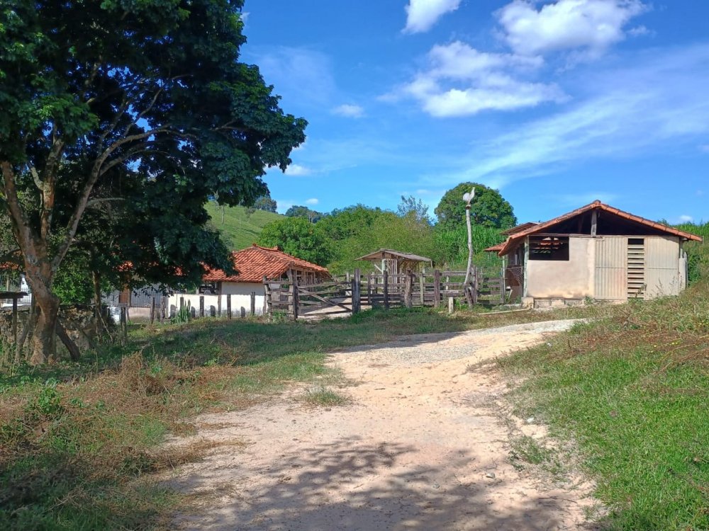 Fazenda - Venda - Zona Rural - Rio Manso - MG