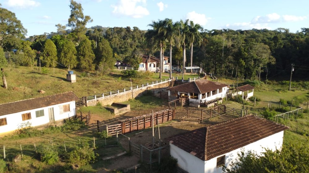 Fazenda - Venda - Zona Rural - São Francisco de Paula - MG
